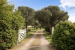 Images for The Old Stables, Green Lane, Ringmer, Lewes