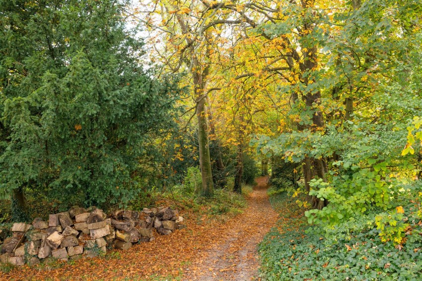 Images for Ranscombe Lane, Glynde